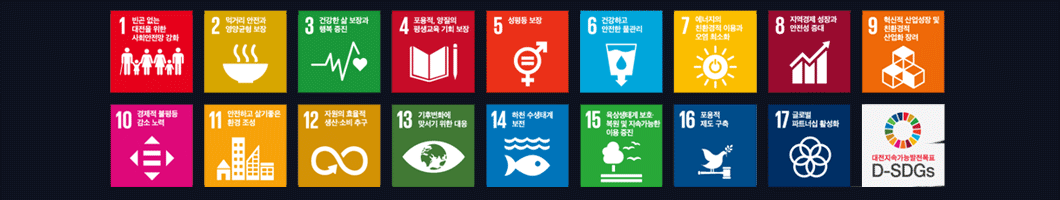 D-SDGs 지속가능발전목표